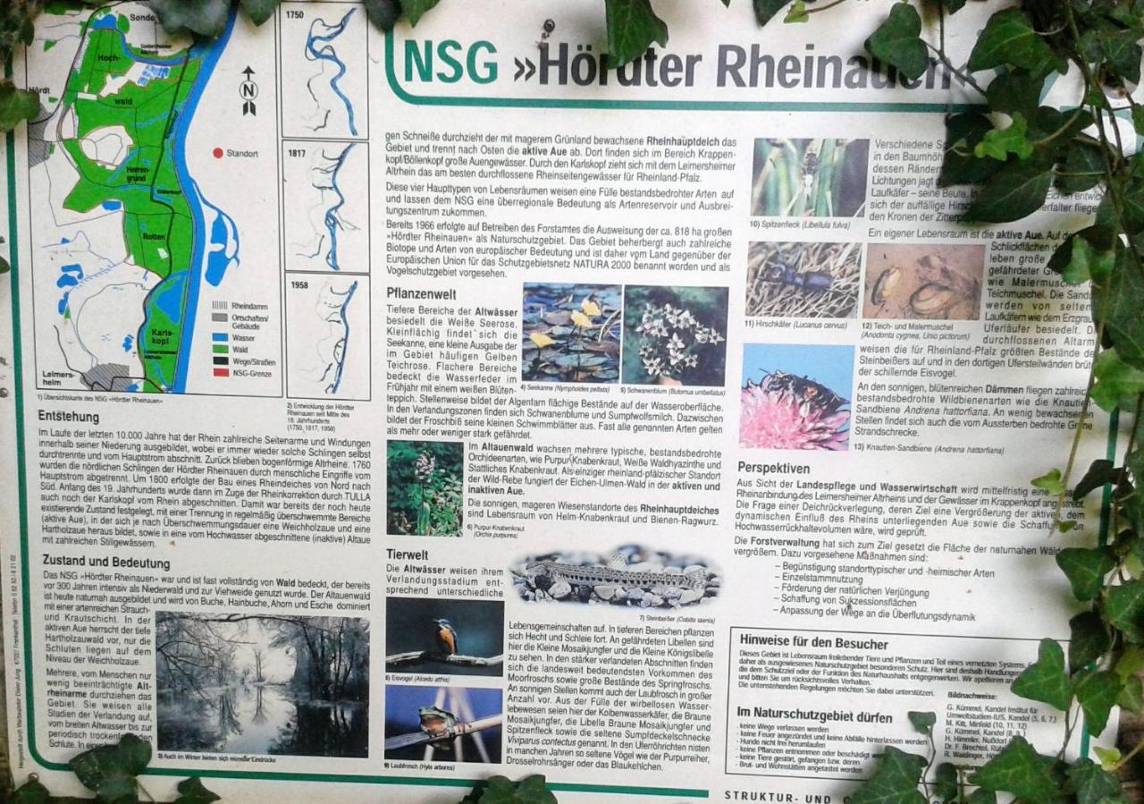 70Qm Wohnung, 76771 Hoerdt, Naturschutzgebiet, Rheinland-Pfalz Hordt Eksteriør billede